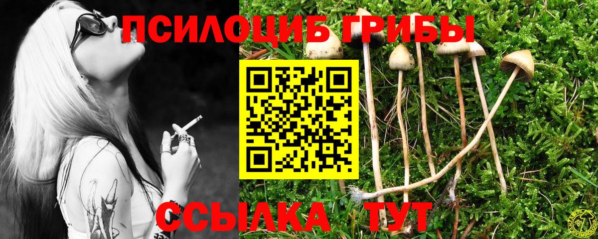Рассказово  где продают наркотики  Вход с VPN  Псилоцибиновые грибы прущие грибы 