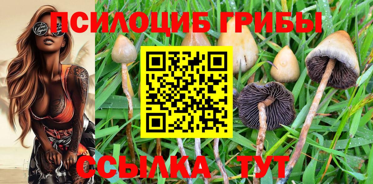 Псилоцибиновые грибы мухоморы Рассказово